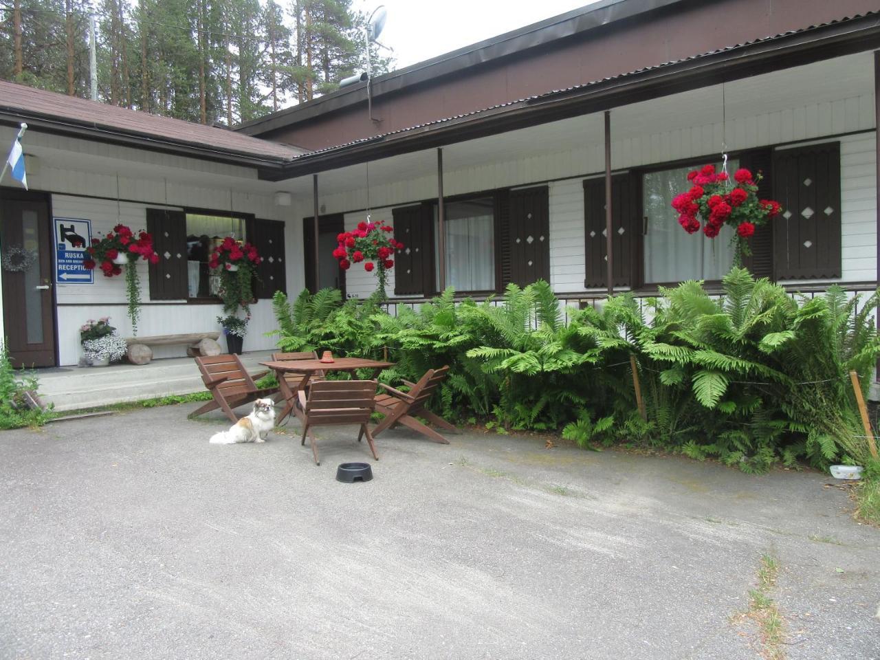 Ruska Bed & Breakfast Taivalkoski Exterior foto